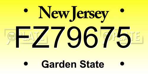 FZ79675 New Jersey License Plate