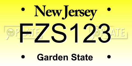 FZS123 New Jersey License Plate