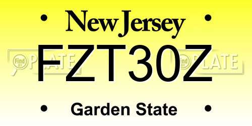 FZT30Z New Jersey License Plate