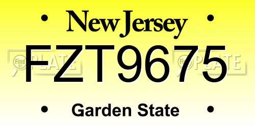 FZT9675 New Jersey License Plate