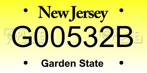 G00532B New Jersey License Plate