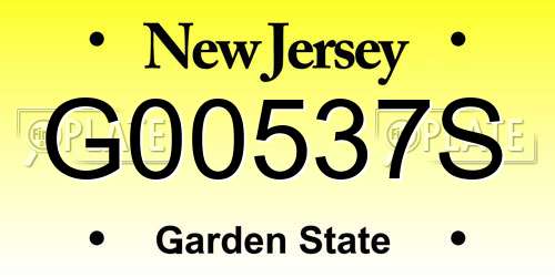G00537S New Jersey License Plate