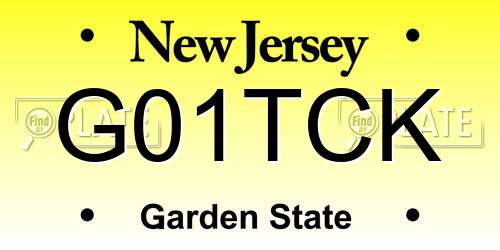 G01TCK New Jersey License Plate
