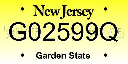 G02599Q New Jersey License Plate