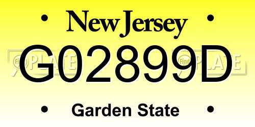 G02899D New Jersey License Plate