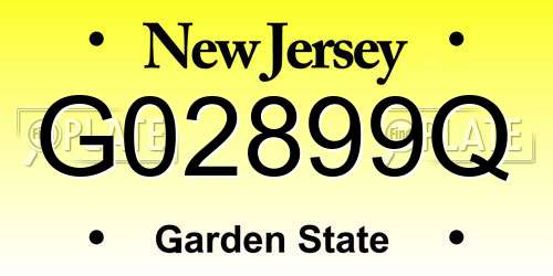 G02899Q New Jersey License Plate