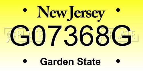 G07368G New Jersey License Plate
