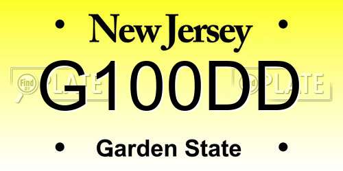 G100DD New Jersey License Plate