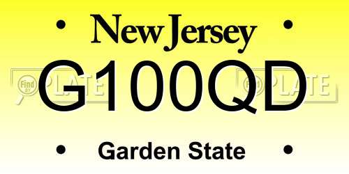 G100QD New Jersey License Plate