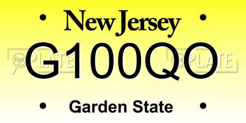 G100QO New Jersey License Plate