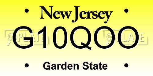 G10QOO New Jersey License Plate
