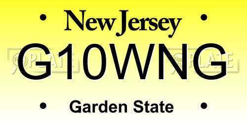G10WNG New Jersey License Plate