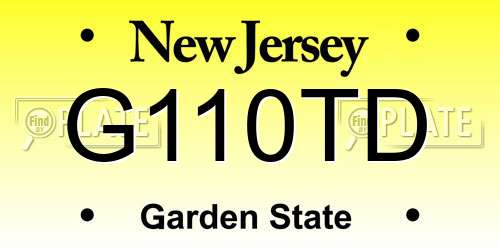 G110TD New Jersey License Plate