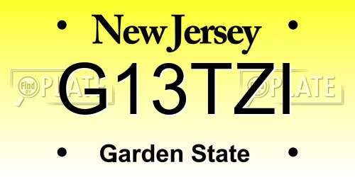 G13TZI New Jersey License Plate
