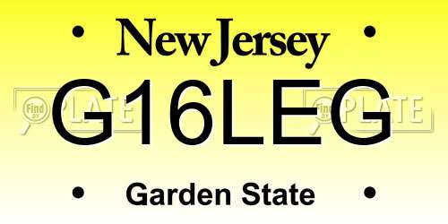 G16LEG New Jersey License Plate