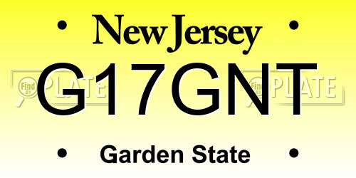 G17GNT New Jersey License Plate