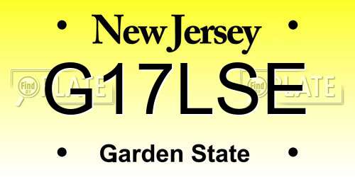 G17LSE New Jersey License Plate