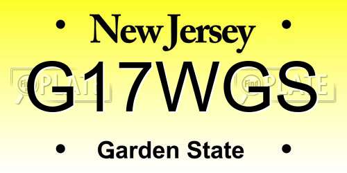G17WGS New Jersey License Plate