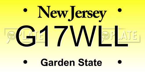 G17WLL New Jersey License Plate