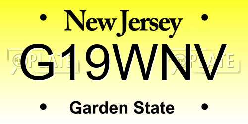 G19WNV New Jersey License Plate