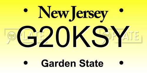 G20KSY New Jersey License Plate