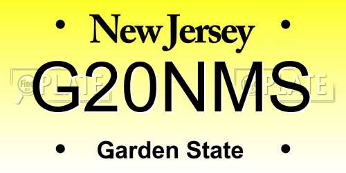 G20NMS New Jersey License Plate