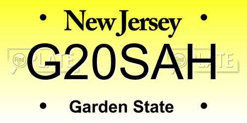 G20SAH New Jersey License Plate