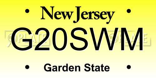 G20SWM New Jersey License Plate