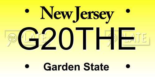 G20THE New Jersey License Plate