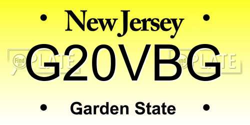 G20VBG New Jersey License Plate