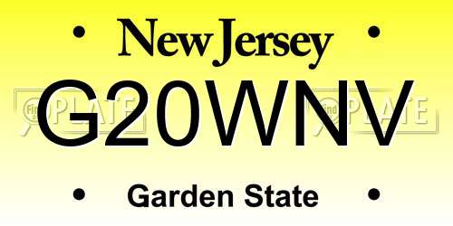 G20WNV New Jersey License Plate