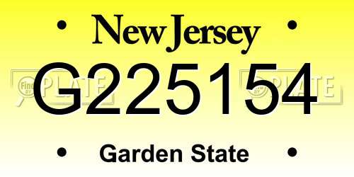 G225154 New Jersey License Plate
