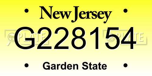 G228154 New Jersey License Plate