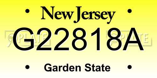 G22818A New Jersey License Plate