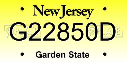 G22850D New Jersey License Plate