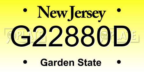 G22880D New Jersey License Plate