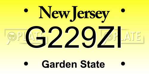 G229ZI New Jersey License Plate
