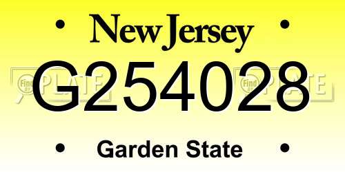 G254028 New Jersey License Plate