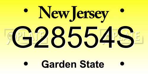G28554S New Jersey License Plate