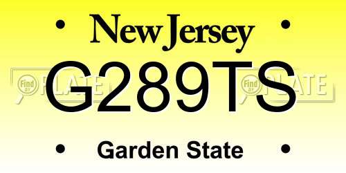 G289TS New Jersey License Plate