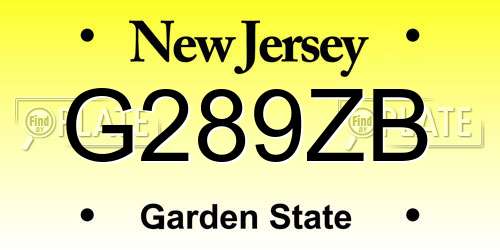 G289ZB New Jersey License Plate