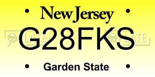 G28FKS New Jersey License Plate