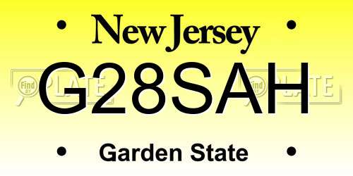 G28SAH New Jersey License Plate