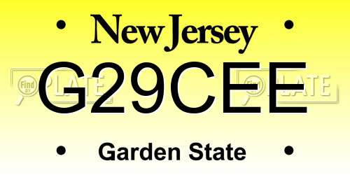 G29CEE New Jersey License Plate