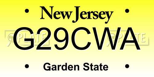 G29CWA New Jersey License Plate
