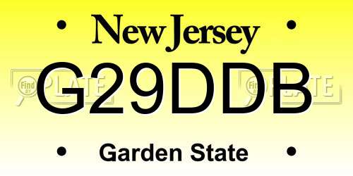 G29DDB New Jersey License Plate
