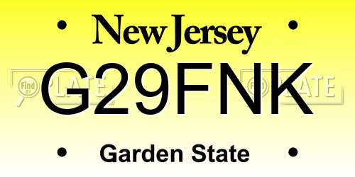 G29FNK New Jersey License Plate