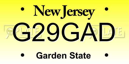G29GAD New Jersey License Plate