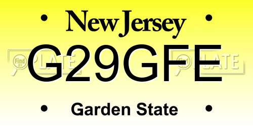 G29GFE New Jersey License Plate