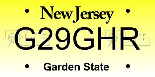G29GHR New Jersey License Plate